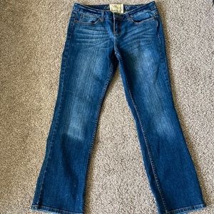 American Rag Bootcut Jeans